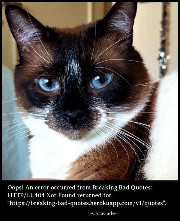 Cataas photo with Breaking Bad Quotes